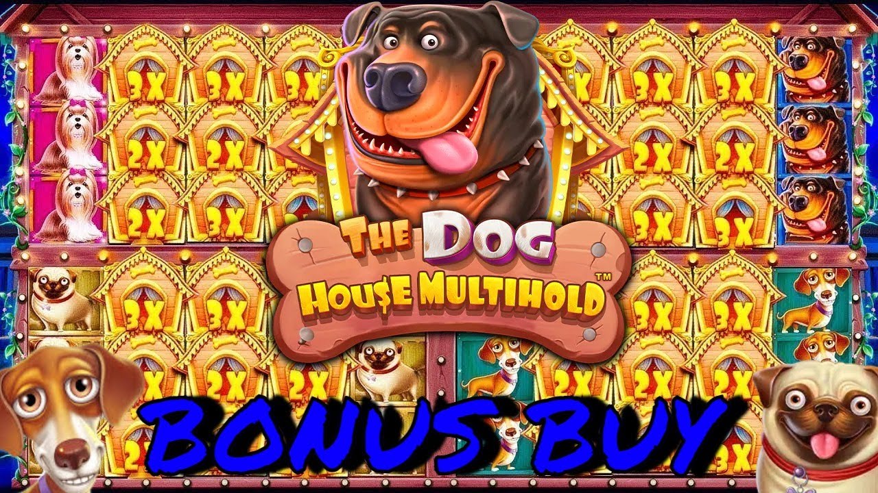 ЛУЧШИЙ BONUS BUY! ALL-IN И BIG WIN / DOG HOUSE MULTIHOLD / ЗАНОСЫ НЕДЕЛИ