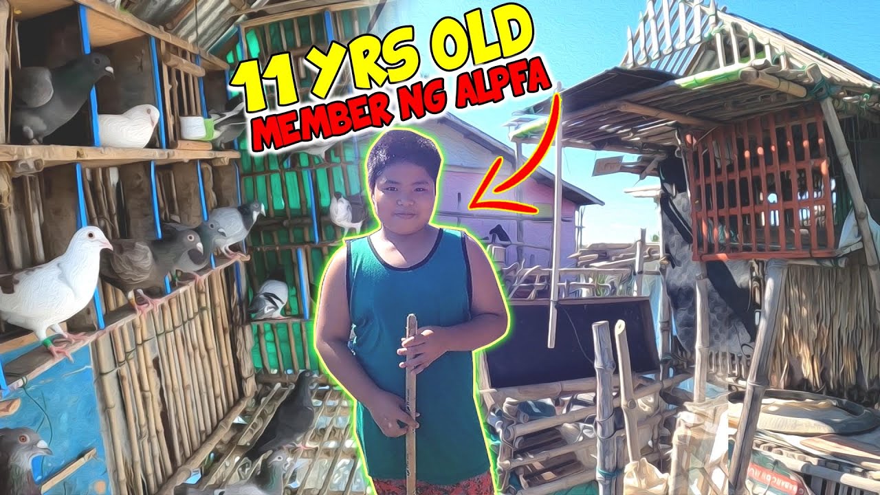 🔴SUKAT SA MGA BAGONG MEMBER NG ALPFA🔥