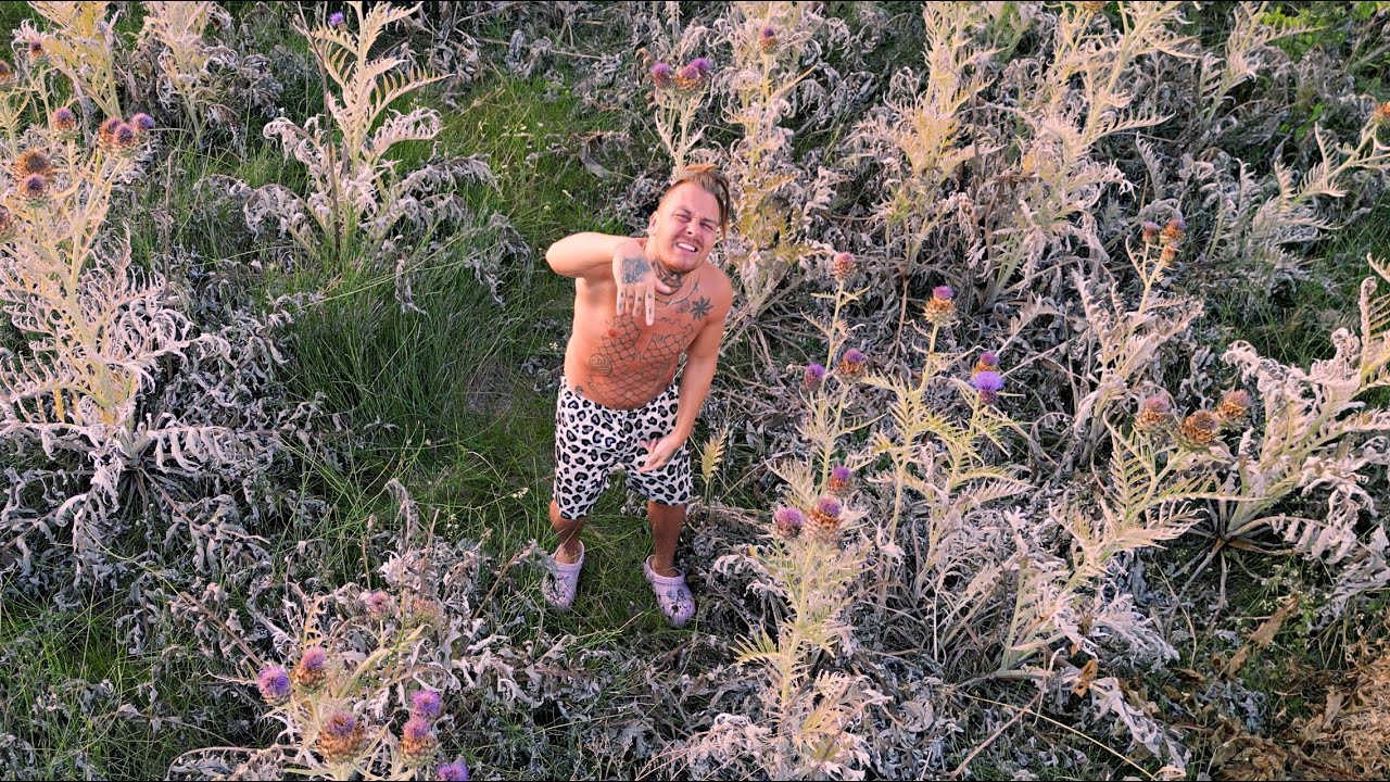 LABĀKAIS HARIBO - TURU ŠO SŪDU (OFFICIAL VIDEO)