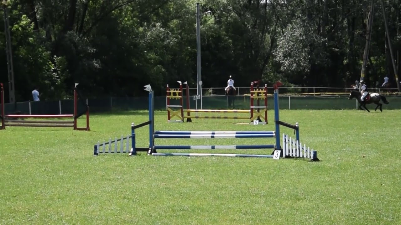 XXXVIII Mistrzostwa OJK Pegaz - konkurs skoków do 70 cm