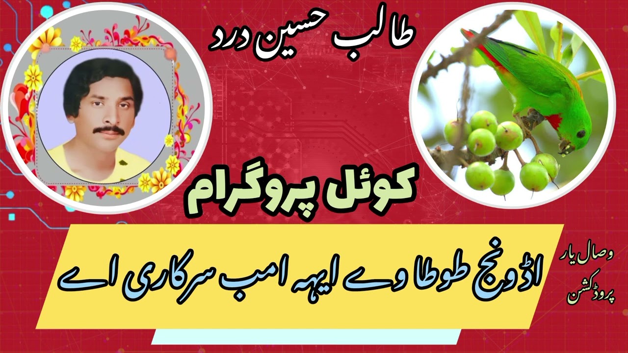 Udd Wan Tota Ve || اڈ ونج طوطا وے ایہہ امب سرکاری اے۔ طالب حسین درد پرانا پروگرام