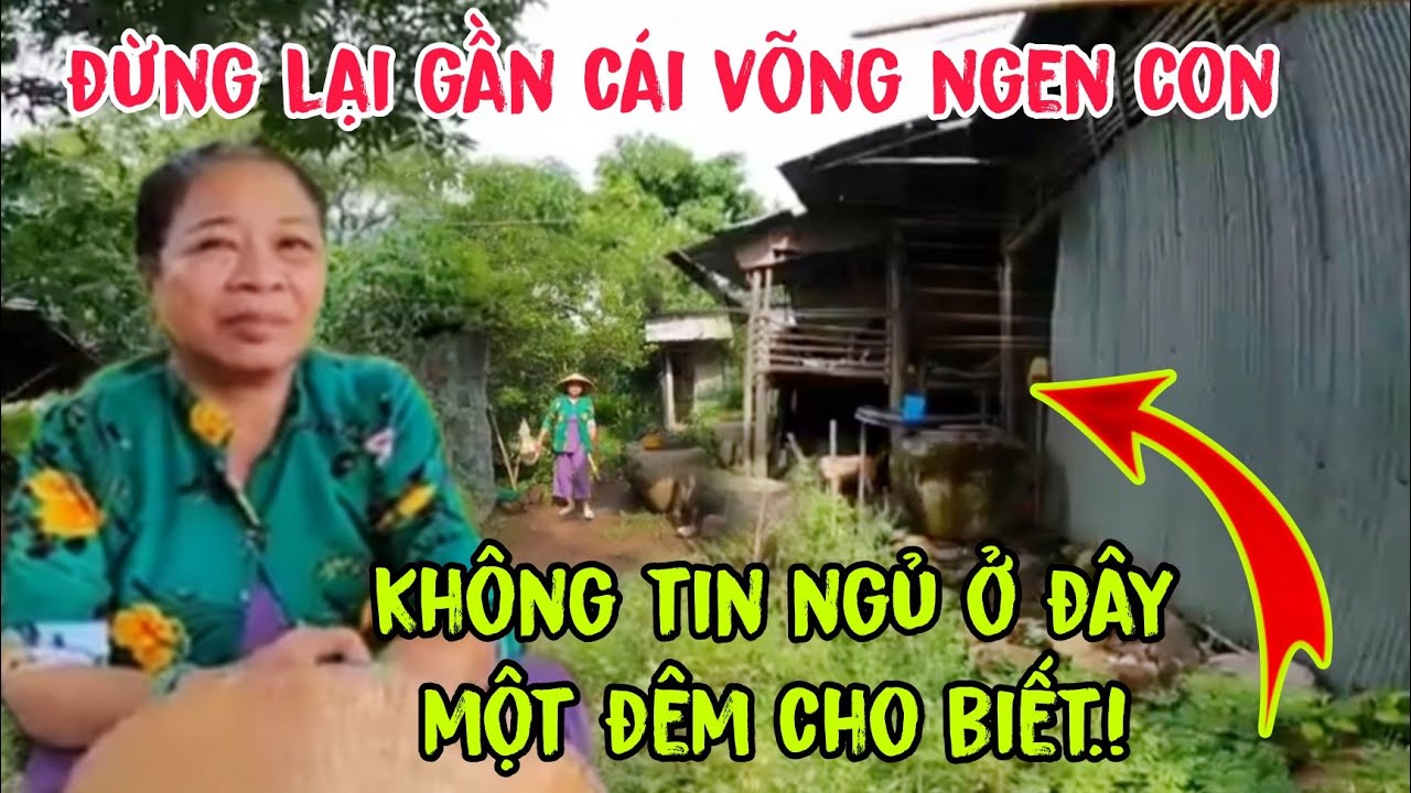 Bí Ẩn Người Phụ Nữ 7 Núi: Những Bàn Tay Vô Hình Trong Đêm