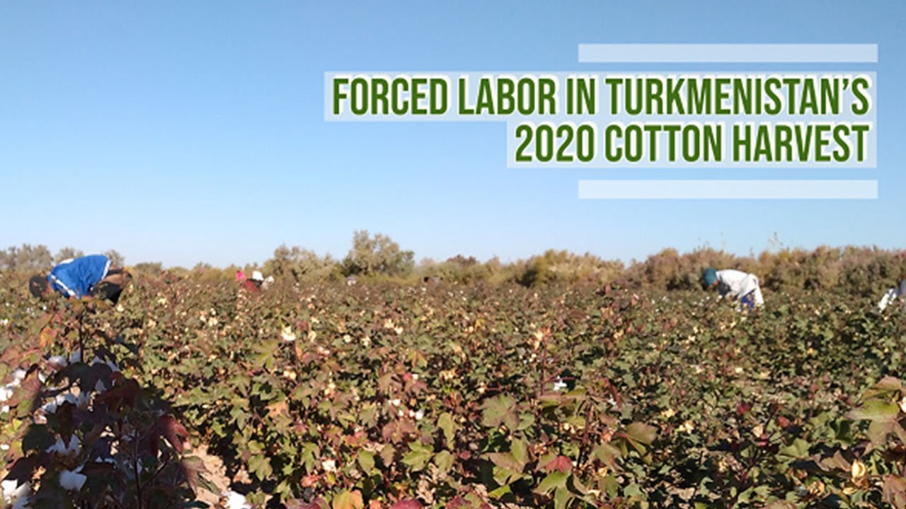 Forced Labor in Turkmenistan's 2020 Cotton Harvest