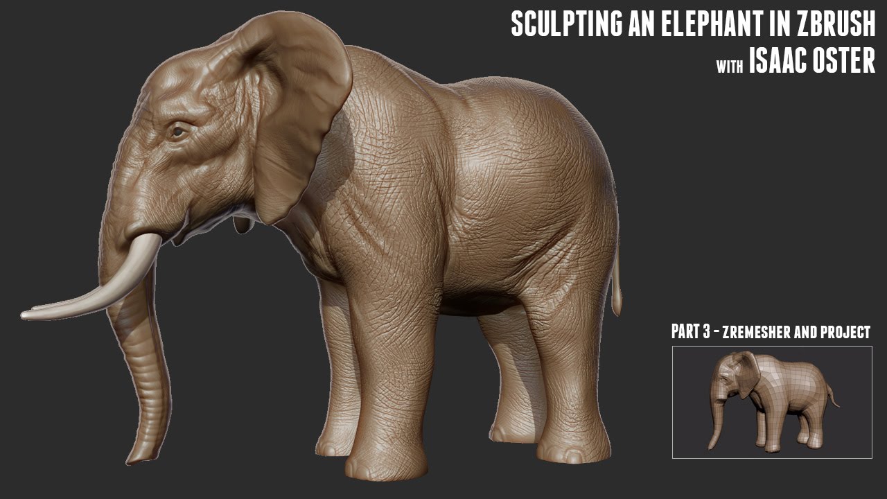 Sculpting an Elephant with Isaac Oster - Part 3