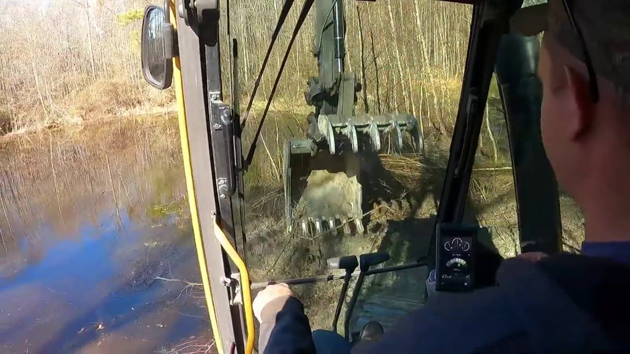 Cleaning Up The Forgotten Pond In The Woods