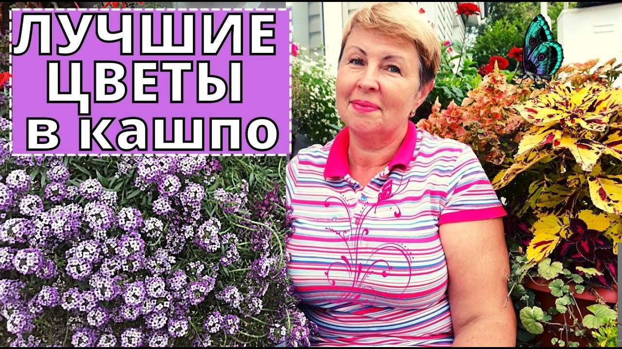 Цветы, которые  я буду сажать в кашпо всегда. Планы на 2022 год