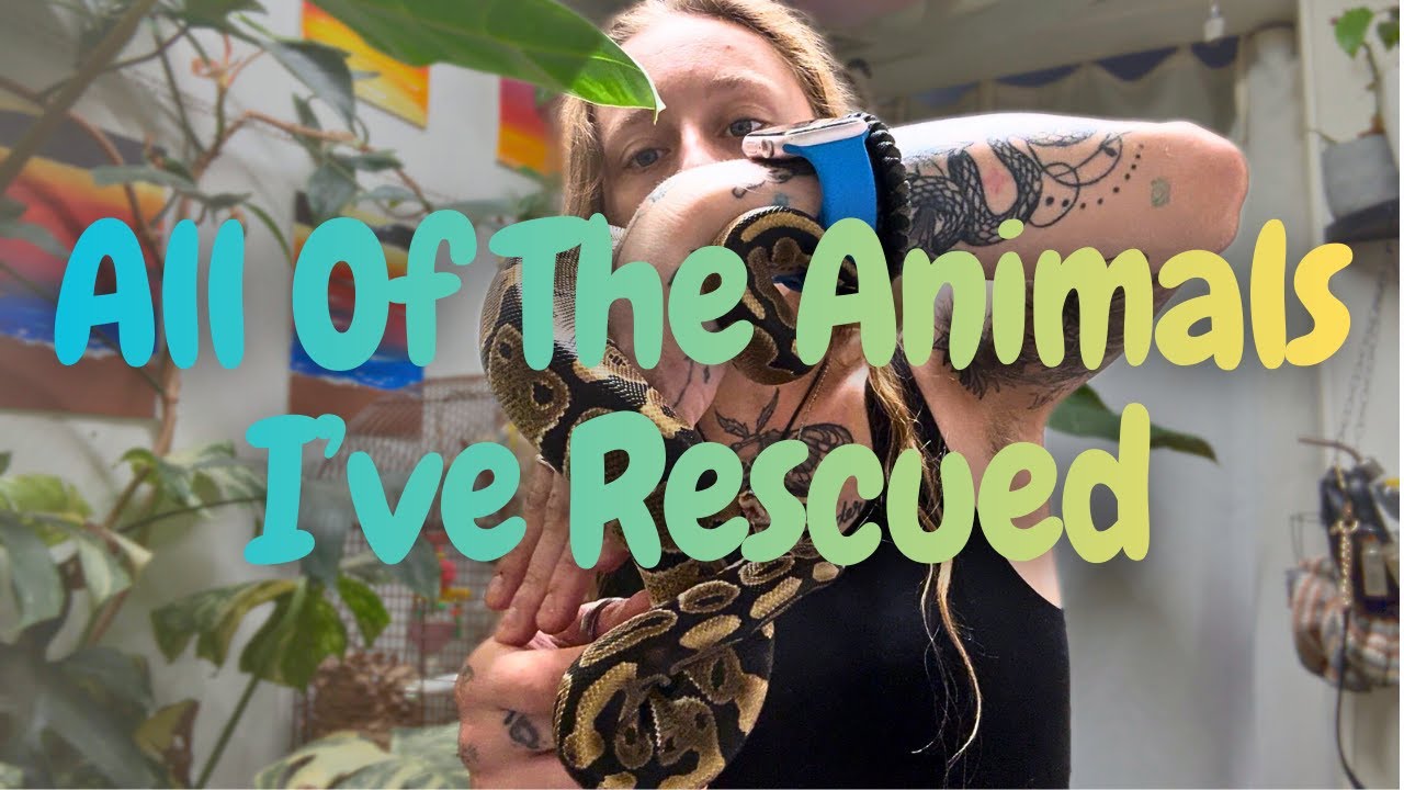 All Of The Animals I Saved BEFORE Starting My Rescue | Cass Pederson