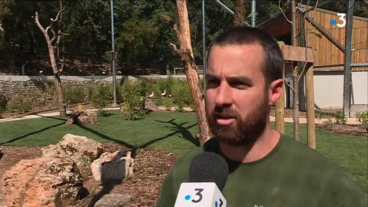 Lot : le parc animalier de Gramat ouvre une volière immersive.