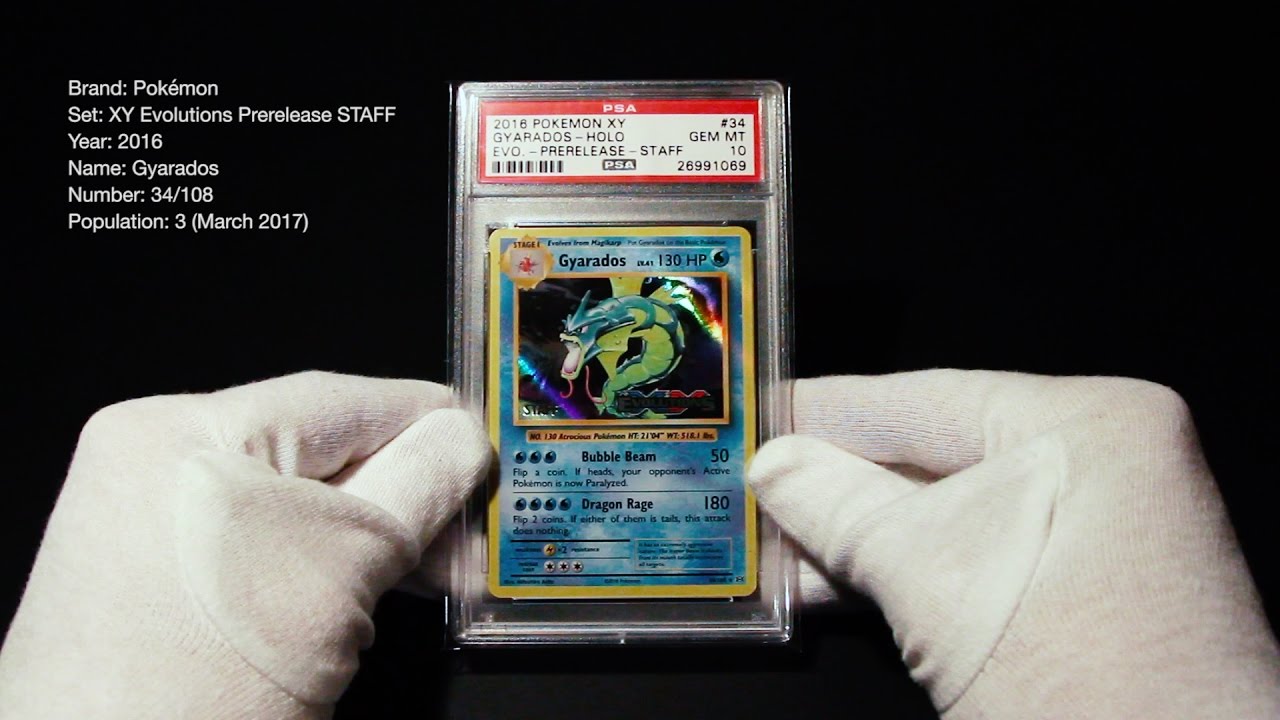 PSA 10 &ndash; Gyarados Prerelease STAFF