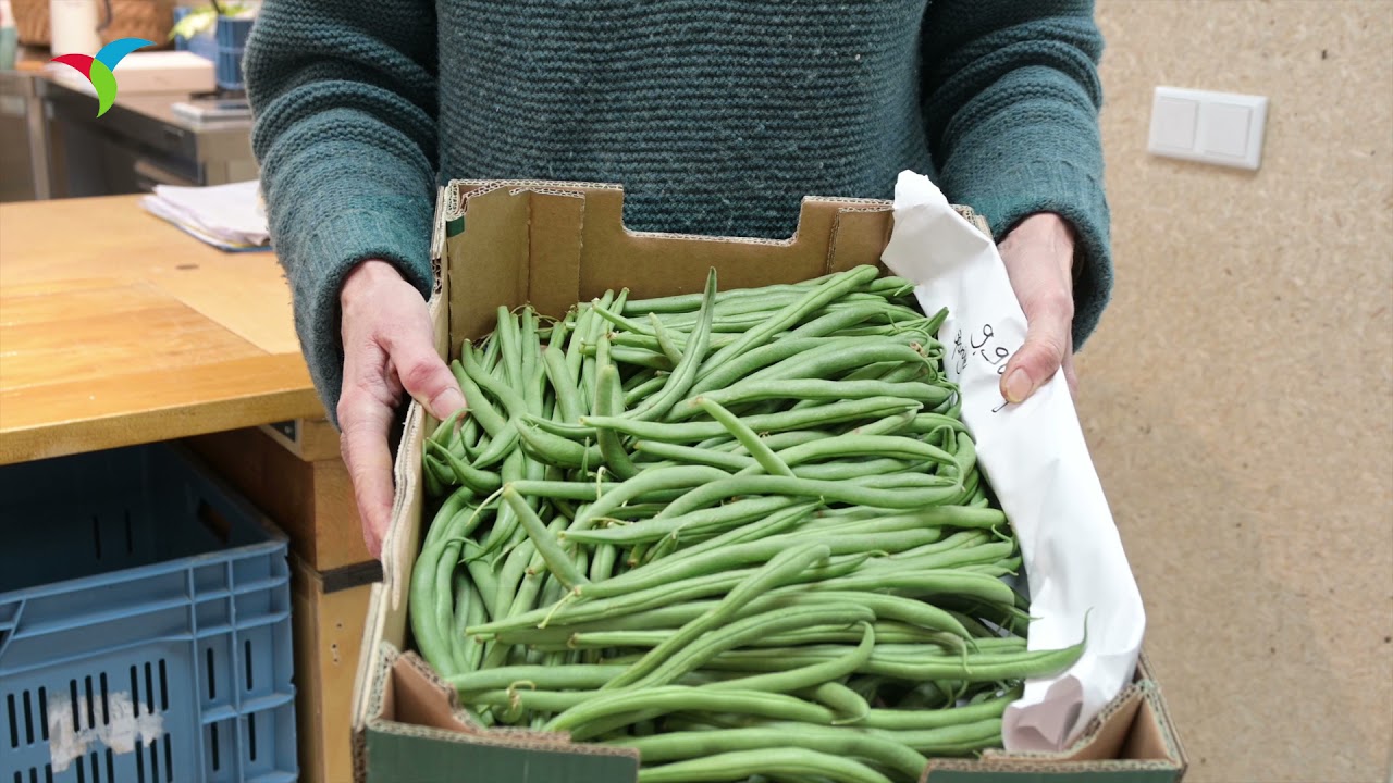 Tuinderij de Es, maart 2021