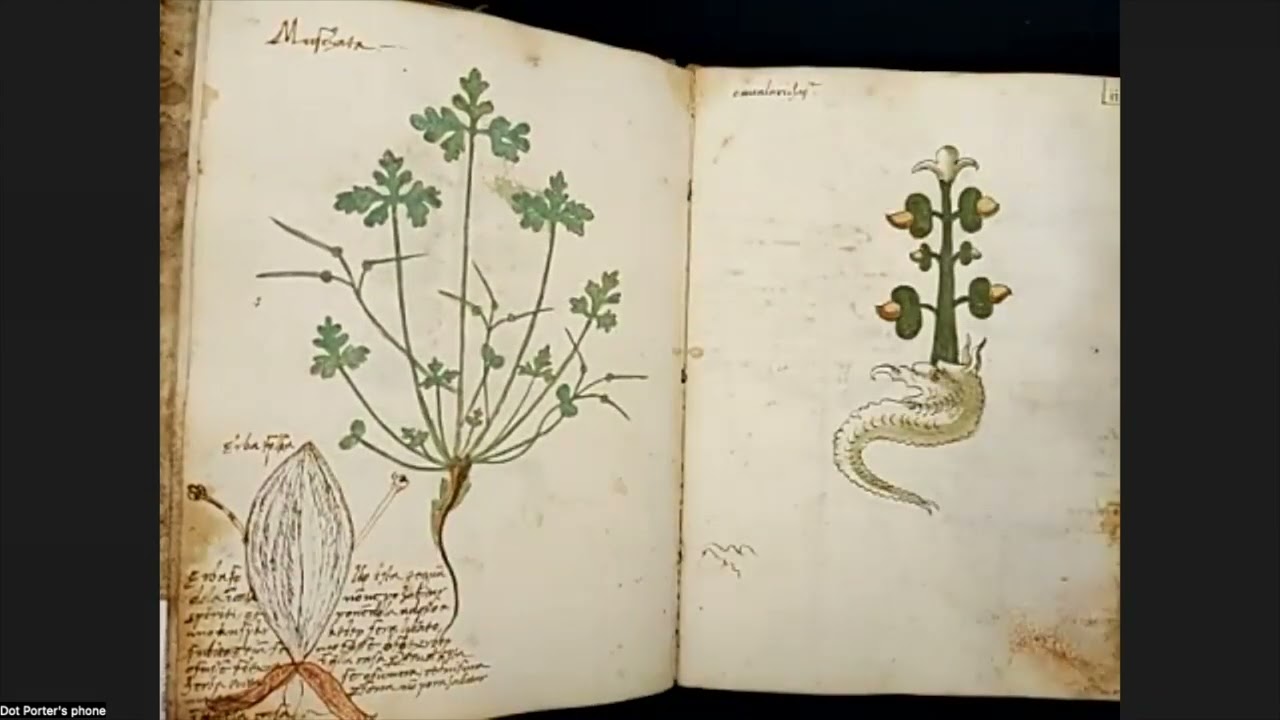 Coffee With a Codex: Italian Herbal (LJS 419)