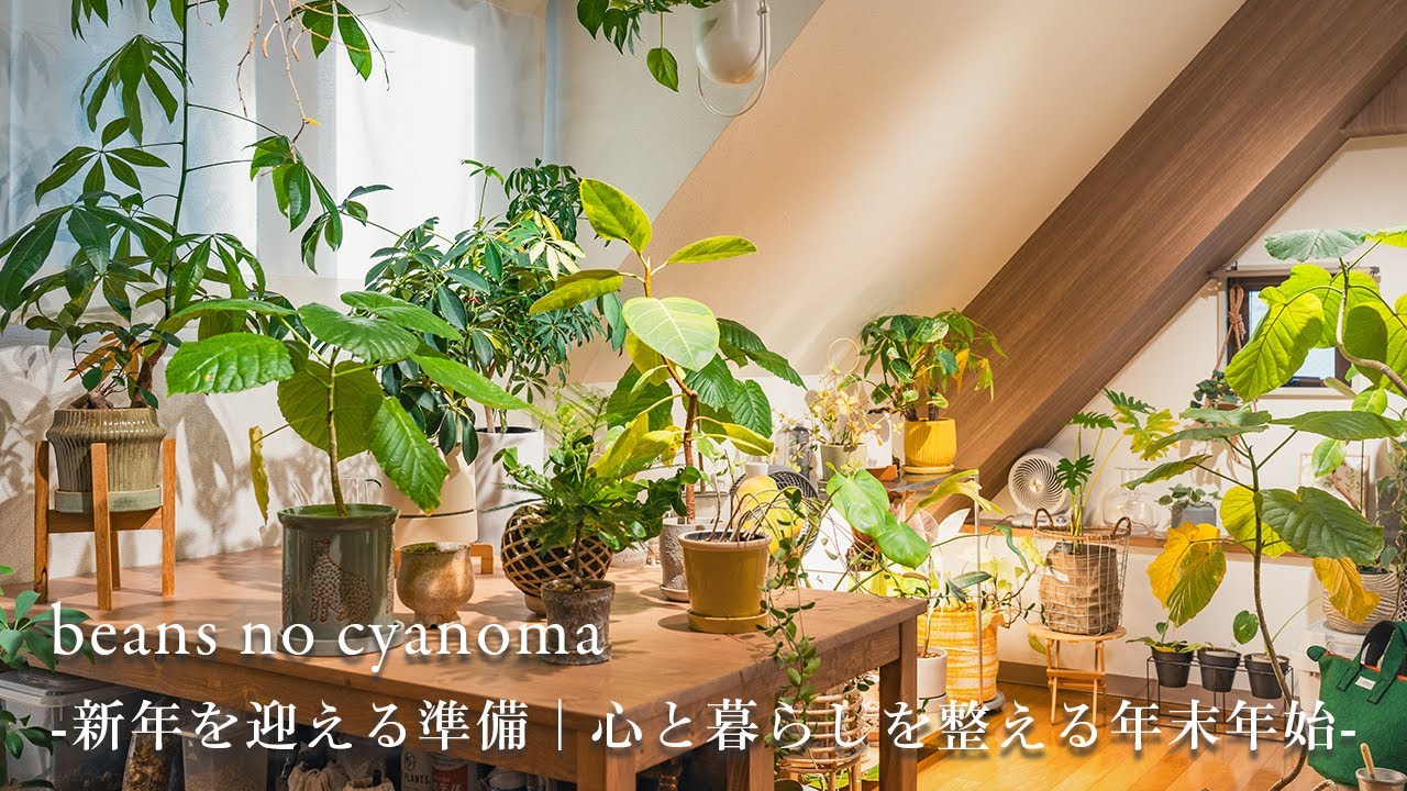 年末年始の過ごし方｜大掃除｜枯れた植物とのお別れ｜初詣
