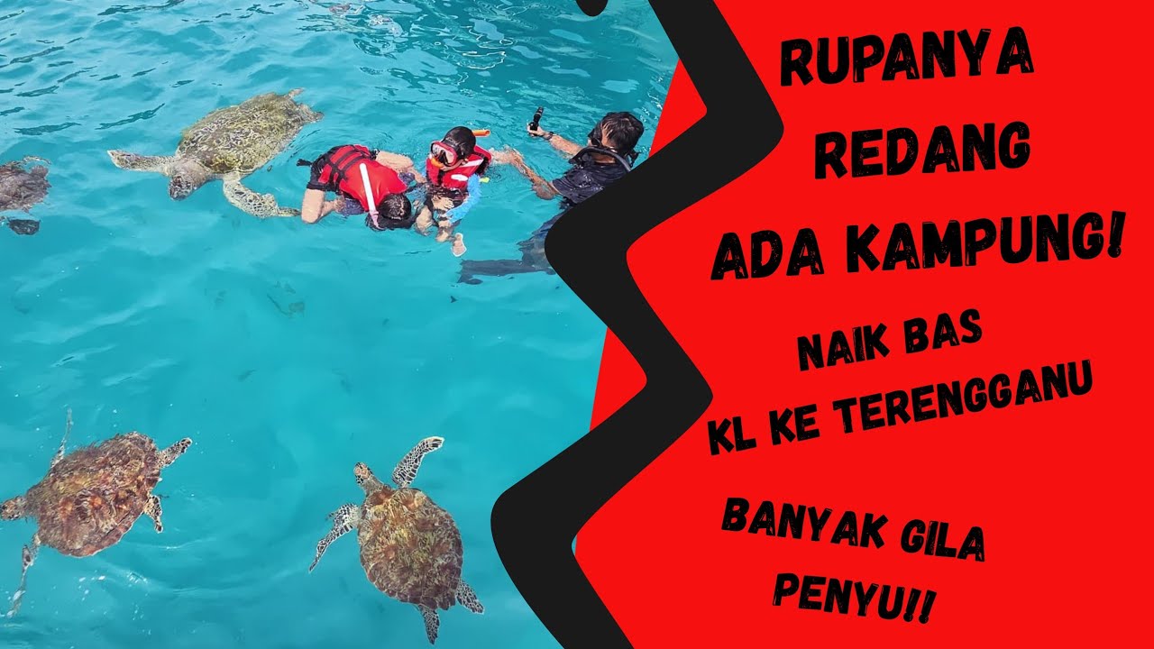 DIY TRIP KE PULAU REDANG naik bas dari Gombak ke Terengganu | Banyak giler penyu weh kat sana!