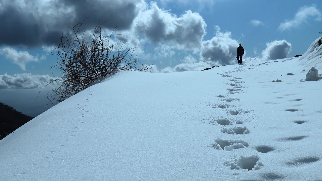 Tikejda - Full of Snow