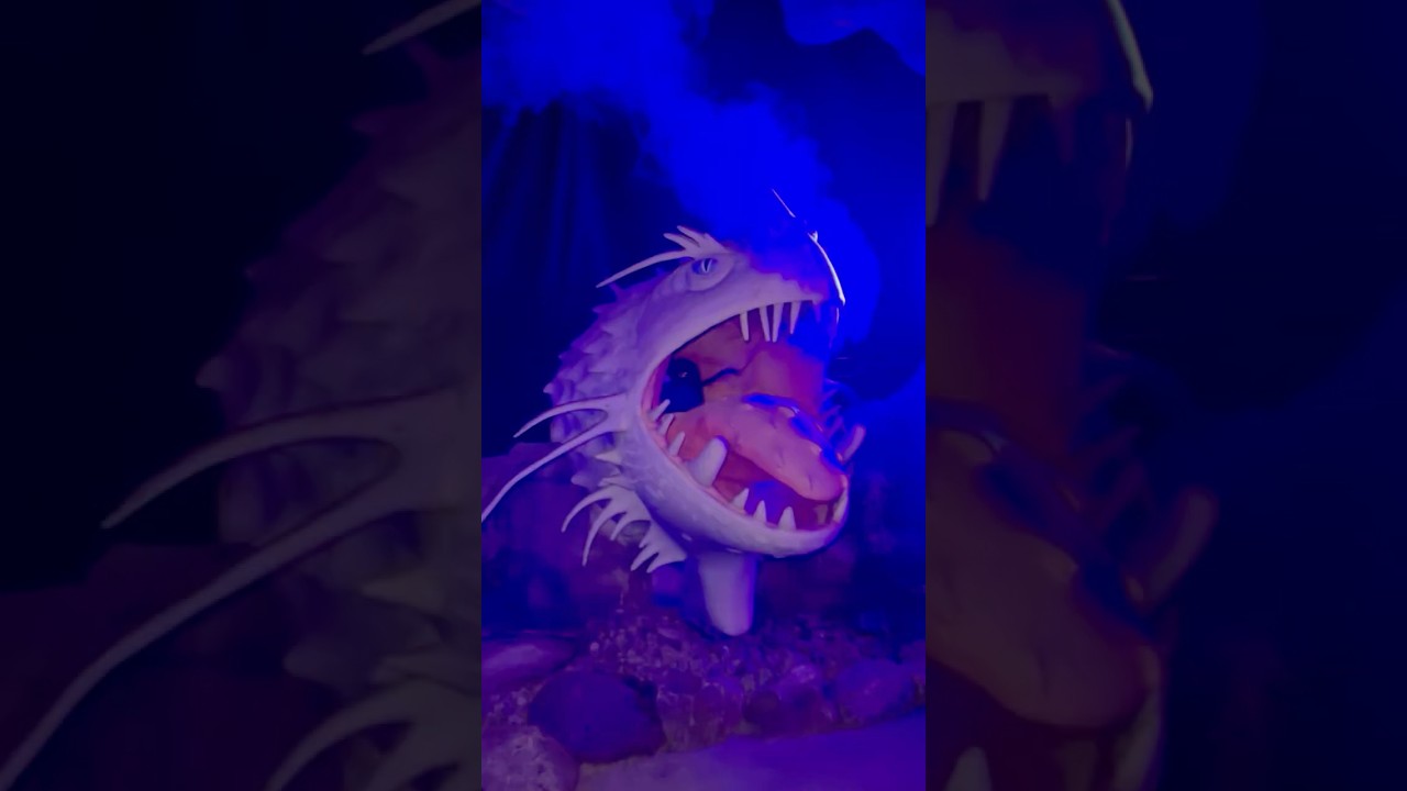 How to Train your Dragon ride 🐉 