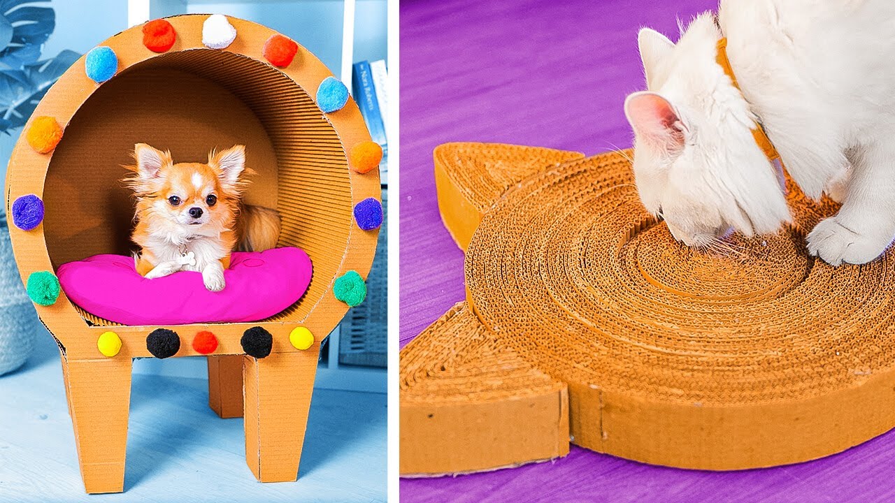 Nouveaux travaux manuels en Carton DIY : Projets amusants pour nos amis &agrave; fourrure et vous ! 📦🐾