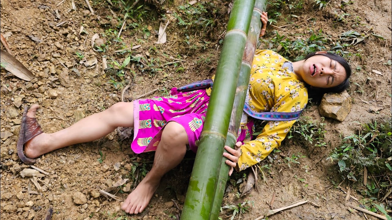 Hoang Thi Mai went into the forest alone and faced danger.