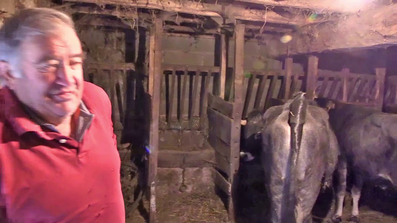 MN 14 1 Tudancas en Silio