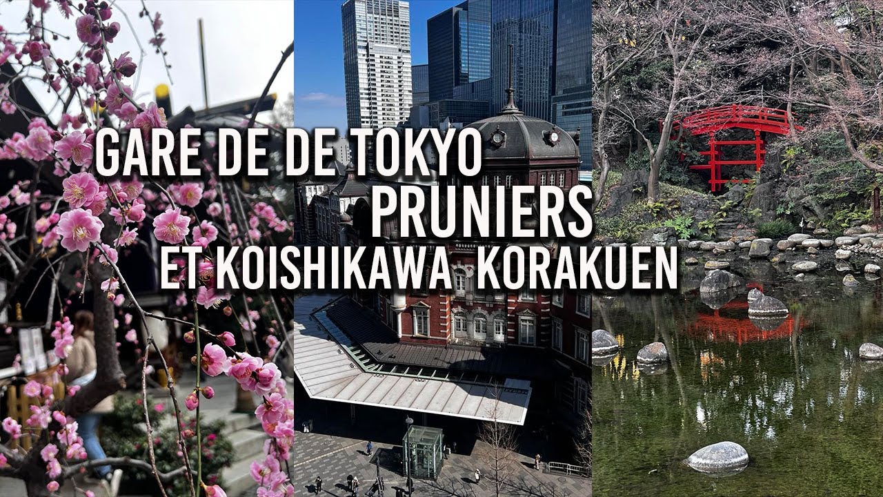 GARE DE TOKYO, PRUNIER ET KOISHIKAWA KORAKUEN