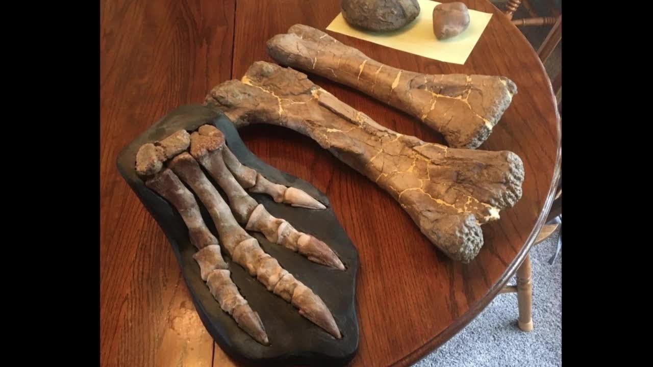 Dinosaur fossil-rich area in Montana at heart of public vs. private debate
