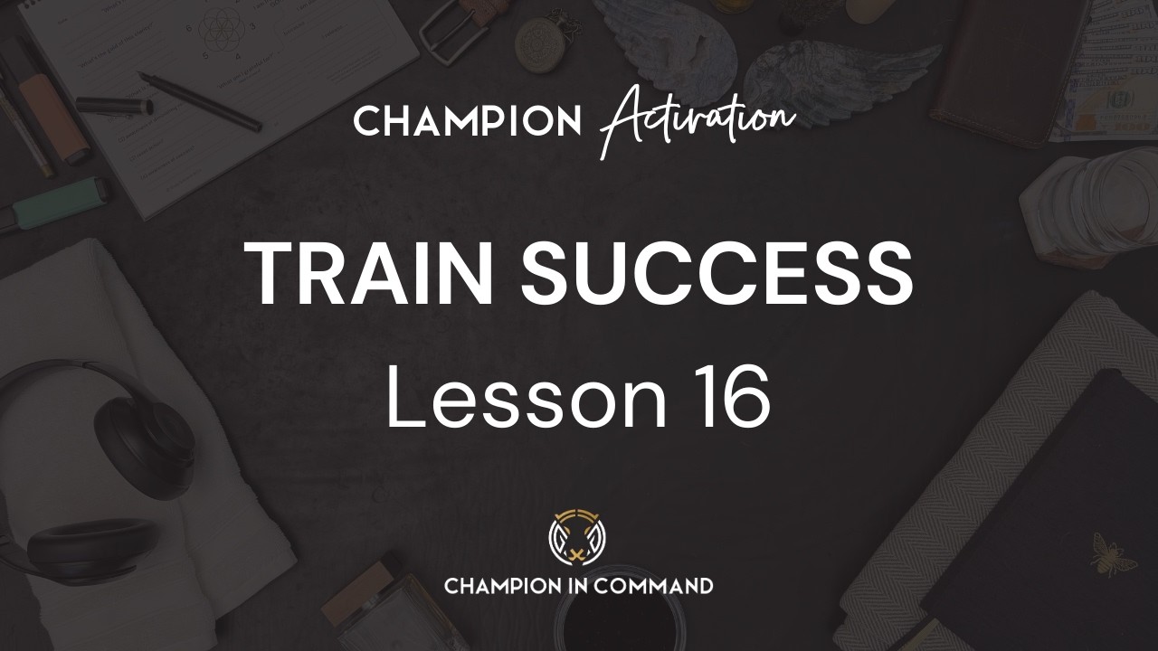 Why More Isn't Better: Train Success, Not Failure (lesson 16)
