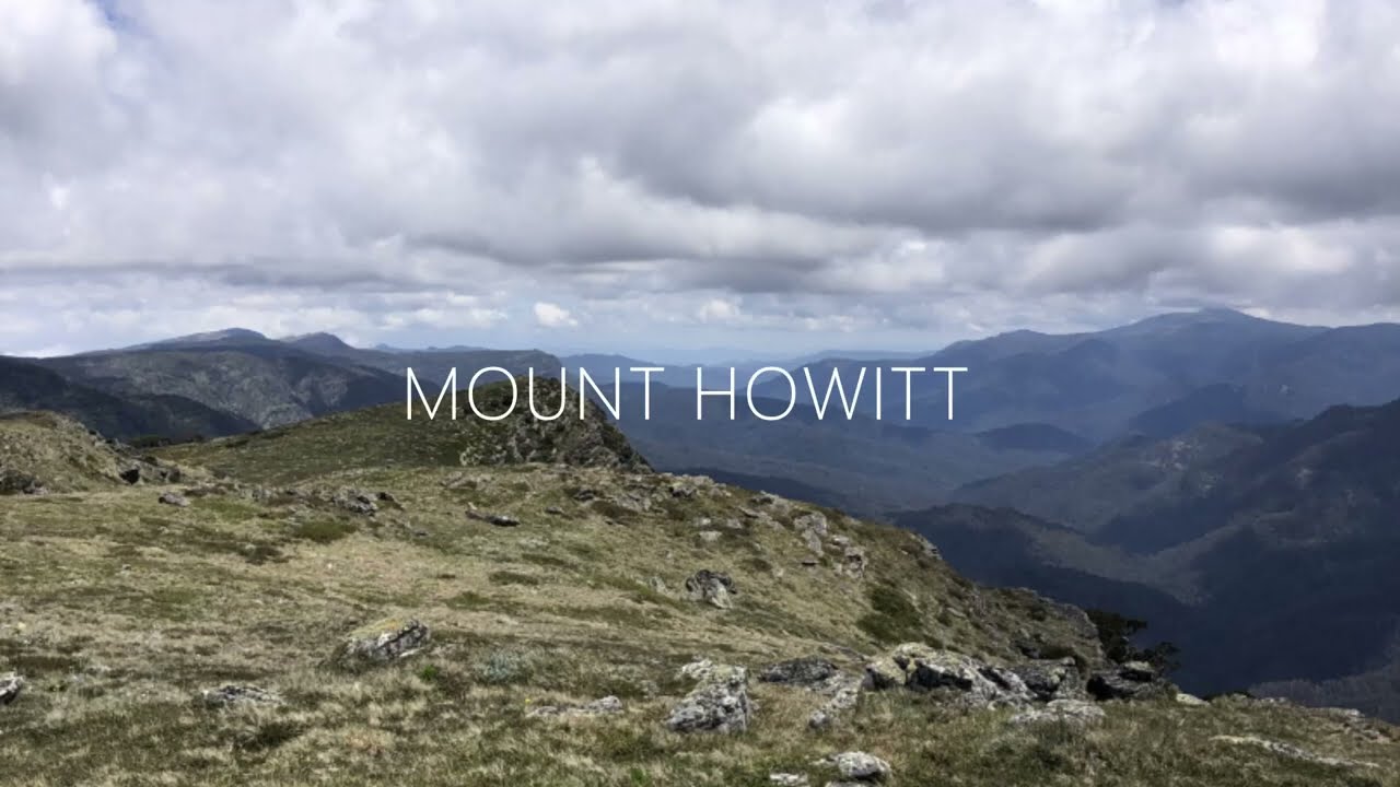 Mount Howitt Crosscut Saw
