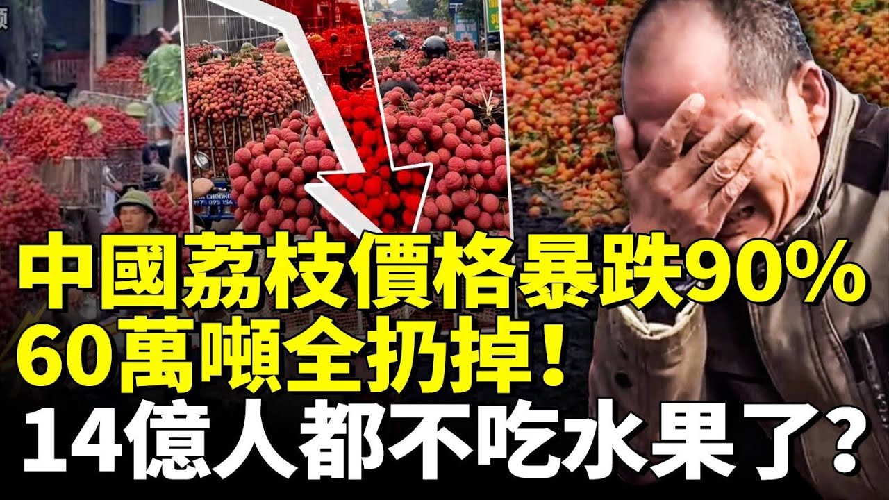 中國荔枝價格暴跌90%！賣不出去拋荒野，60萬噸全扔掉！14億人都不吃水果了？　#看大陸