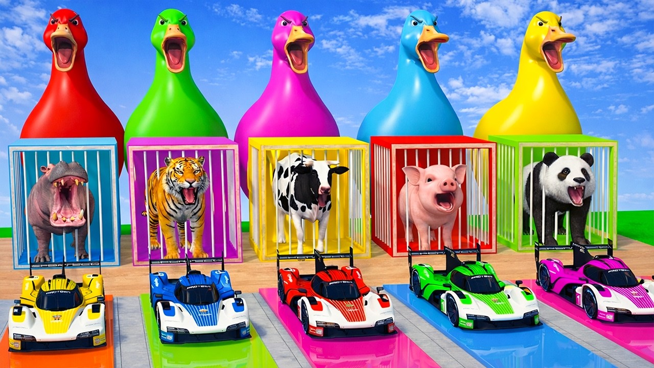 Long Slide Game With Cow Elephant Gorilla Hippopotamus Tiger - 3d Animal Game - Funny 3d Animals