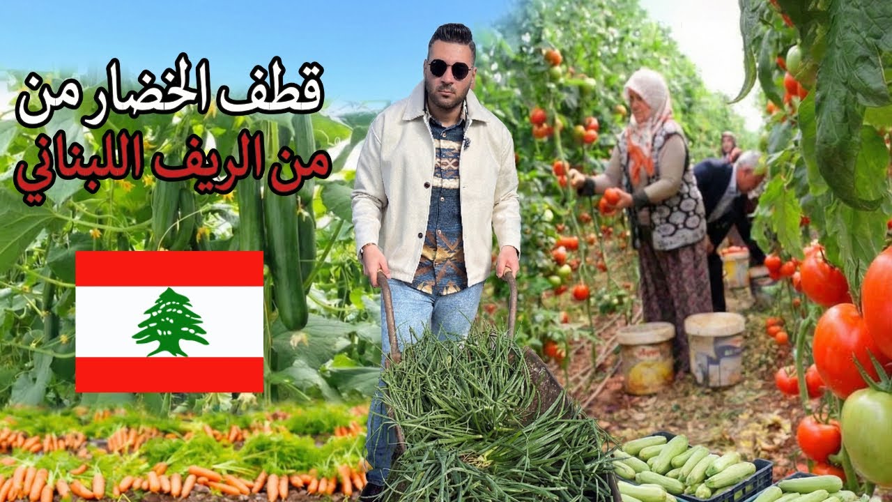 يوم لبناني مميز في الريف لقطف الخضار الطازجة 🇱🇧♥️