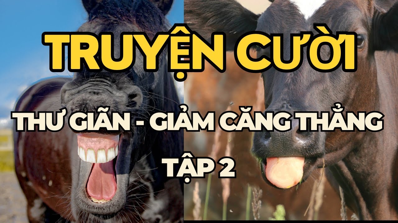 Tổng Hợp TRUYỆN CƯỜI Dân Gian Hay Nhất/ Tiếu Lâm TV