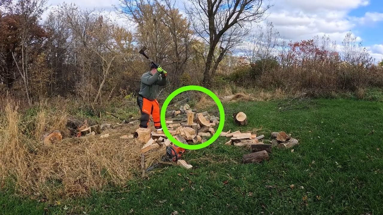The Perfect Firewood Most People Overlook