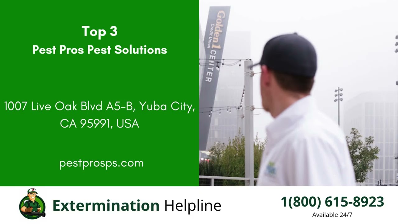 Top 3 Exterminators in Yuba City