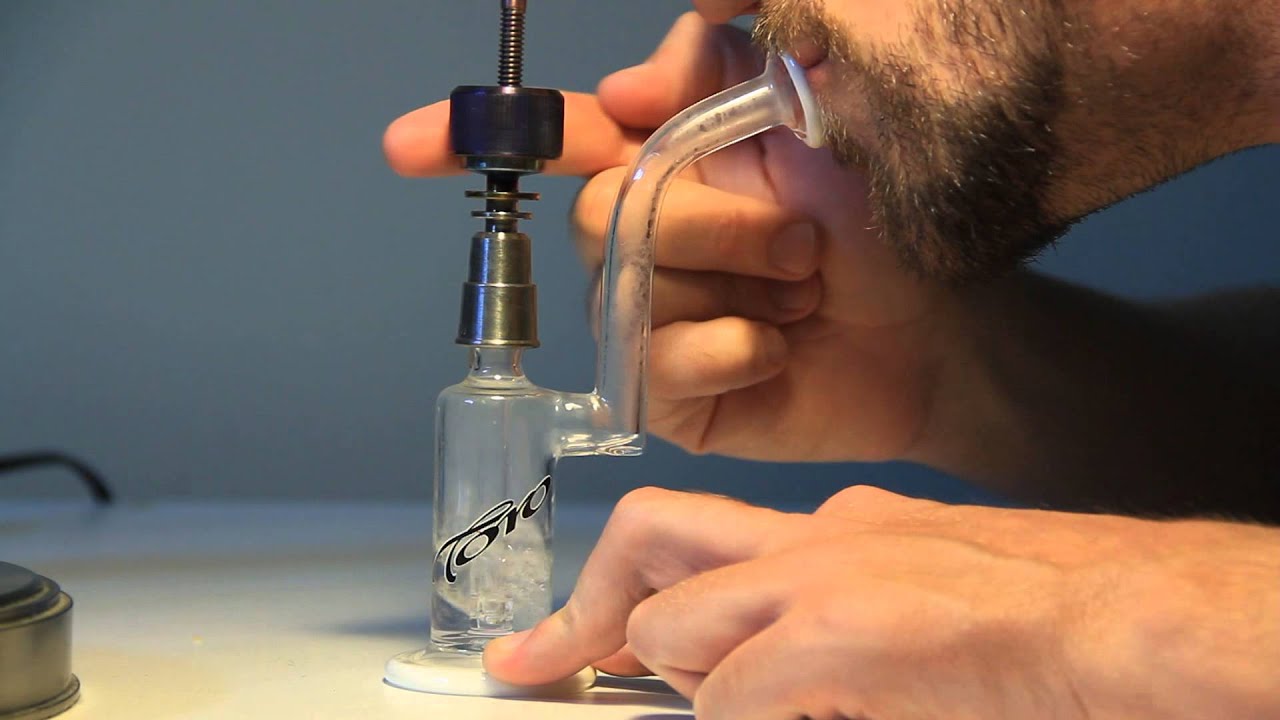 Introducing the PartiCap from Highly Educated
