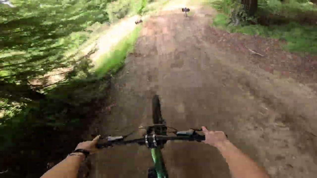 Skyline Rotorua MTB