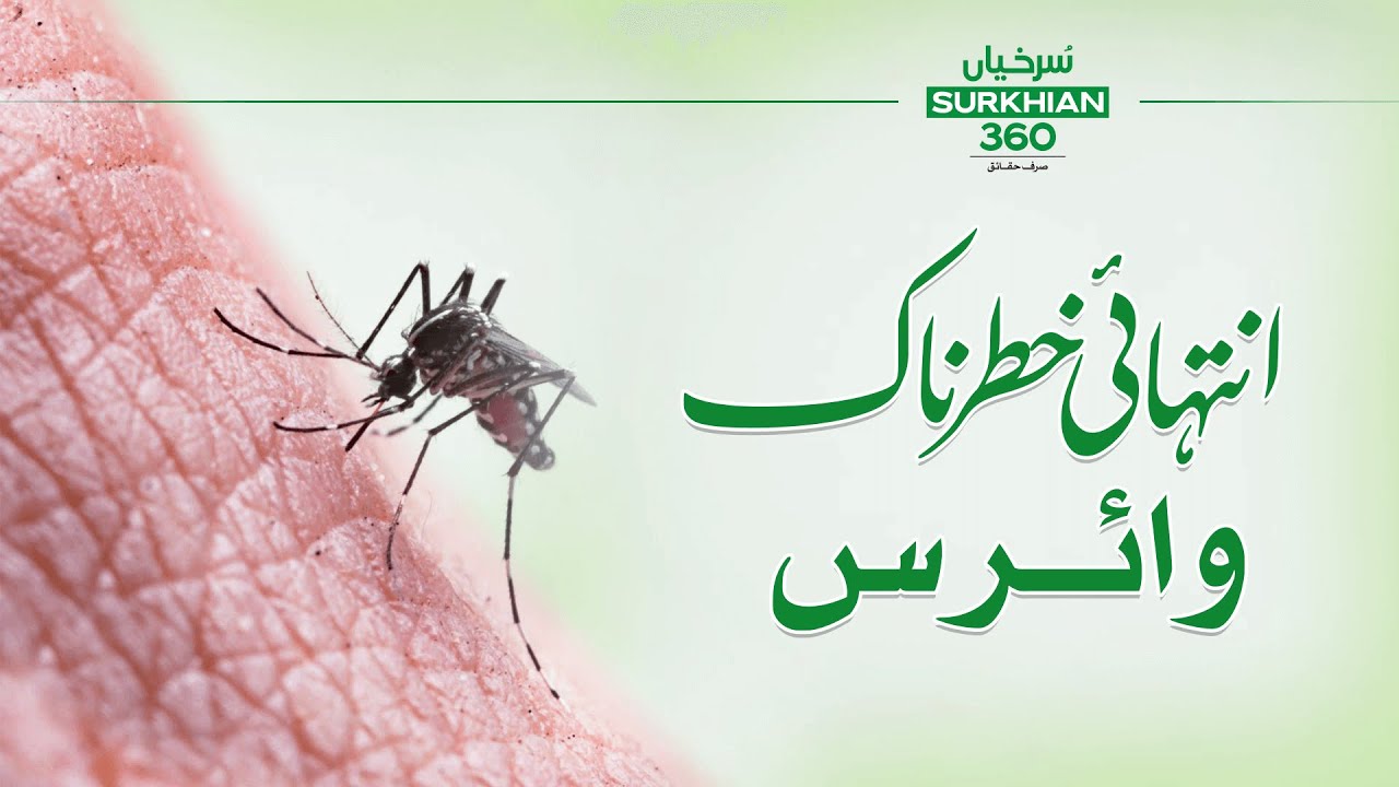 Deadly Dengue Virus Outbreak: Protect Yourself Now. #Surkhian360 #virus #dengue