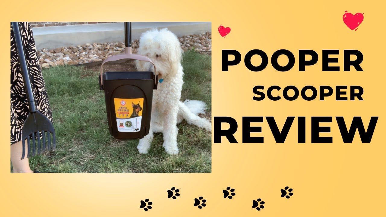 Arm & Hammer Pooper Scooper REVIEW!