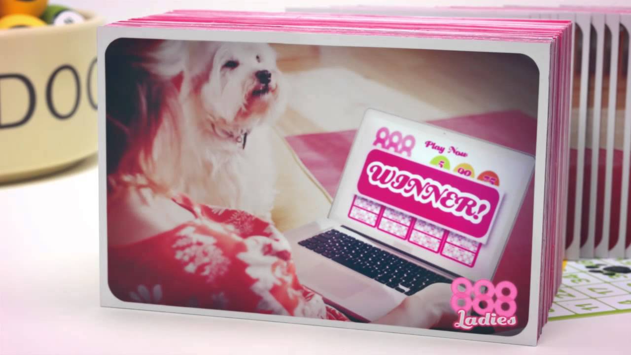 888 Ladies DOG VIMEO