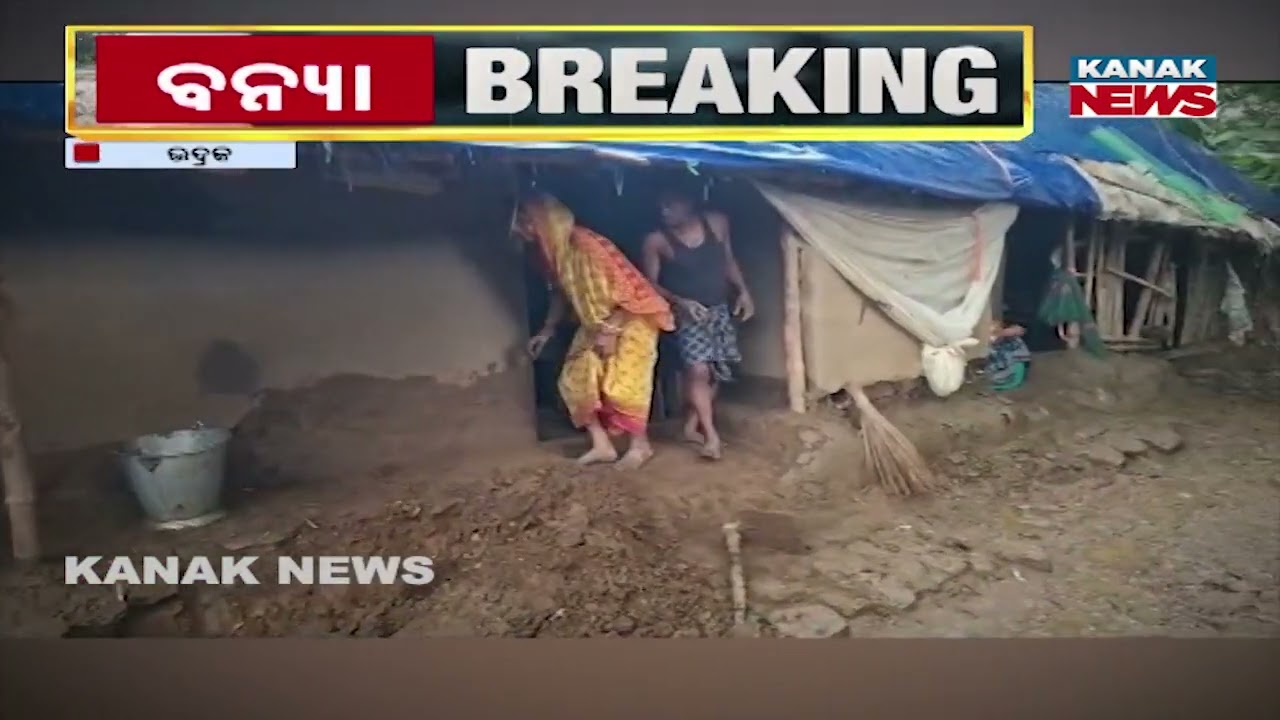 Odisha Flood Update | Villages Submerged, People Battle Nature's Fury