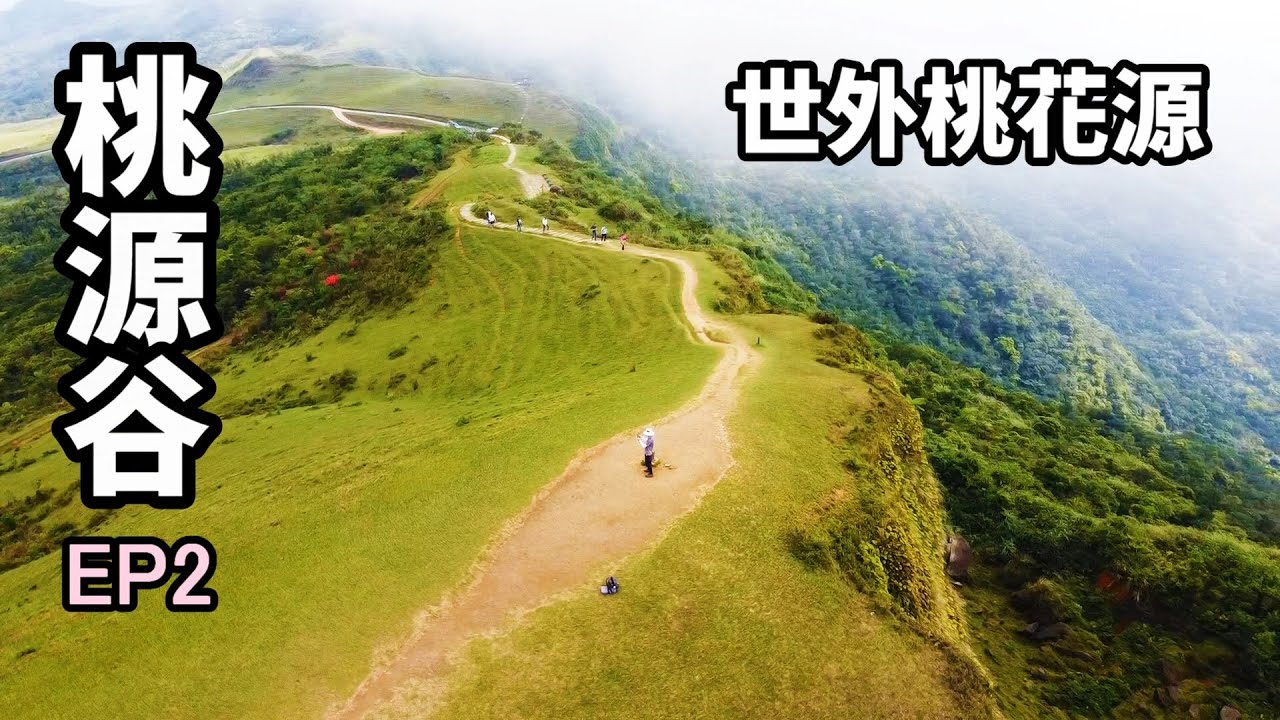 【世外桃花源 - 貢寮桃源谷】EP2/2 | 原來車子可以直接開到桃源谷觀景平台 | 霧終於散了，真的太美了，壯觀的牛群，360度山海之戀，結合合歡山與擎天崗，一望無際的世外桃花源
