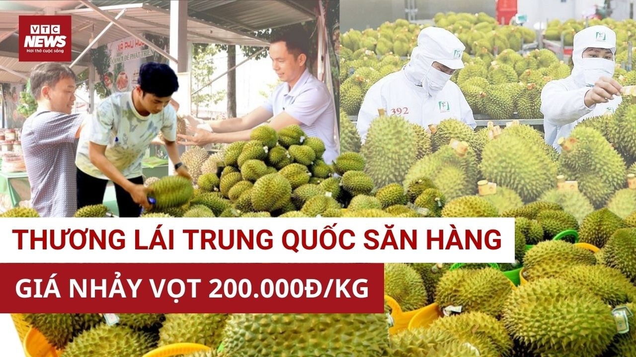 TRUNG QUỐC “QUÉT SẠCH” SẦU RIÊNG VIỆT: Giá tăng 30% sau 3 ngày mở cửa! | VTC News