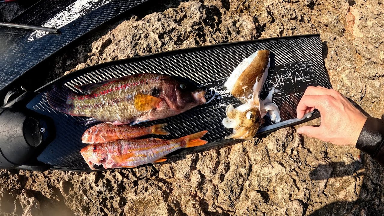 WEEK-END DE CHASSE SUR MARSEILLE ET LA CÔTE BLEUE