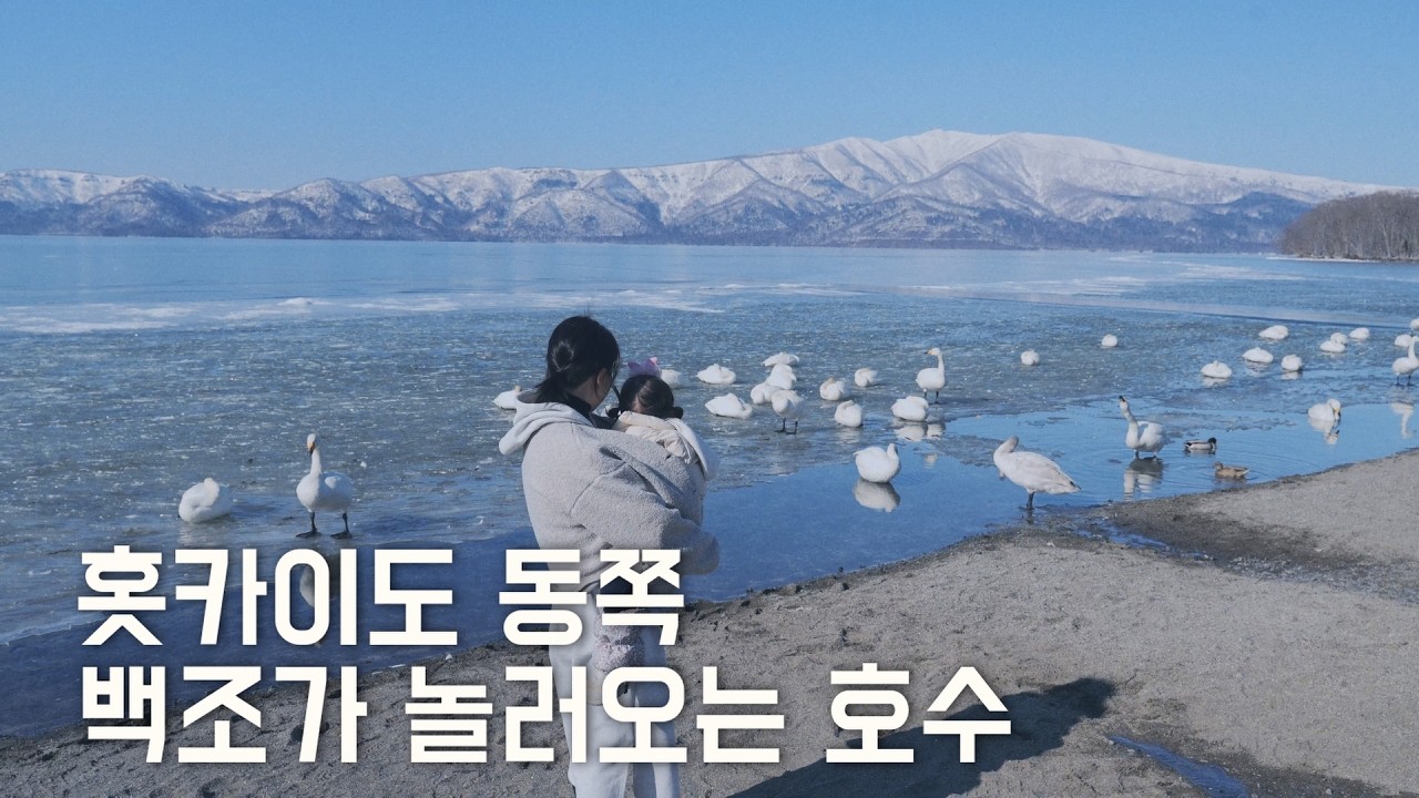 홋카이도 동쪽, 더 유명해지기 전에 가야 할 동화 같은 곳🏝️
