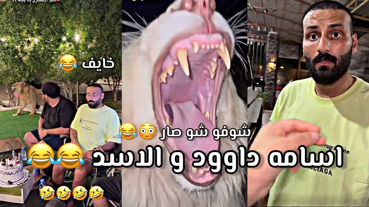 سناب مايد الانصاري حلقة [111] مقلب الأسود في اسامة داوود هرب من المزرعه 😂😂🦁