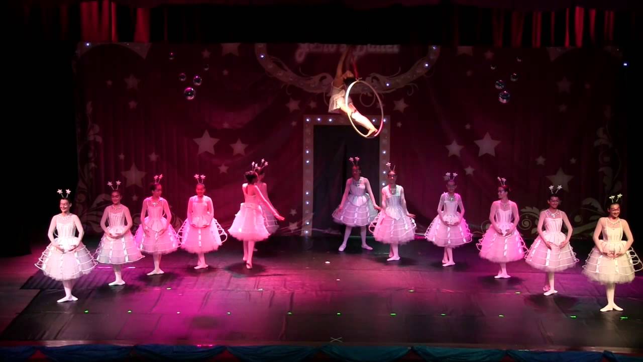 Espetáculo Circo - Alegria
