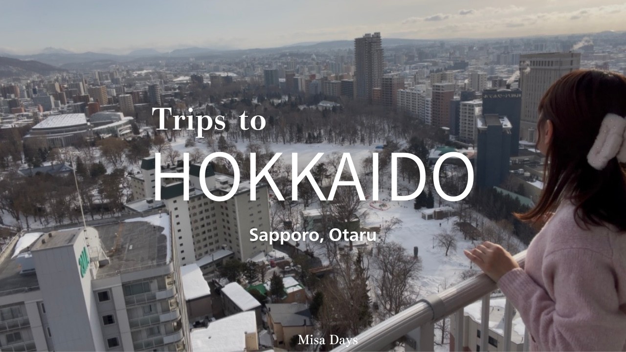 Winter Trips to Hokkaido⛄️｜Exploring Sapporo & Otaru｜Cozy Cafes☕️｜Japan Vlog🚶
