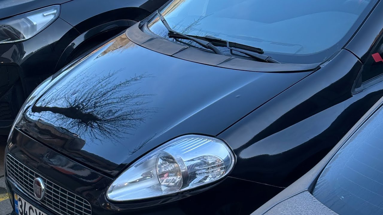 Grande punto Motor beyni sökümü ve temizleme