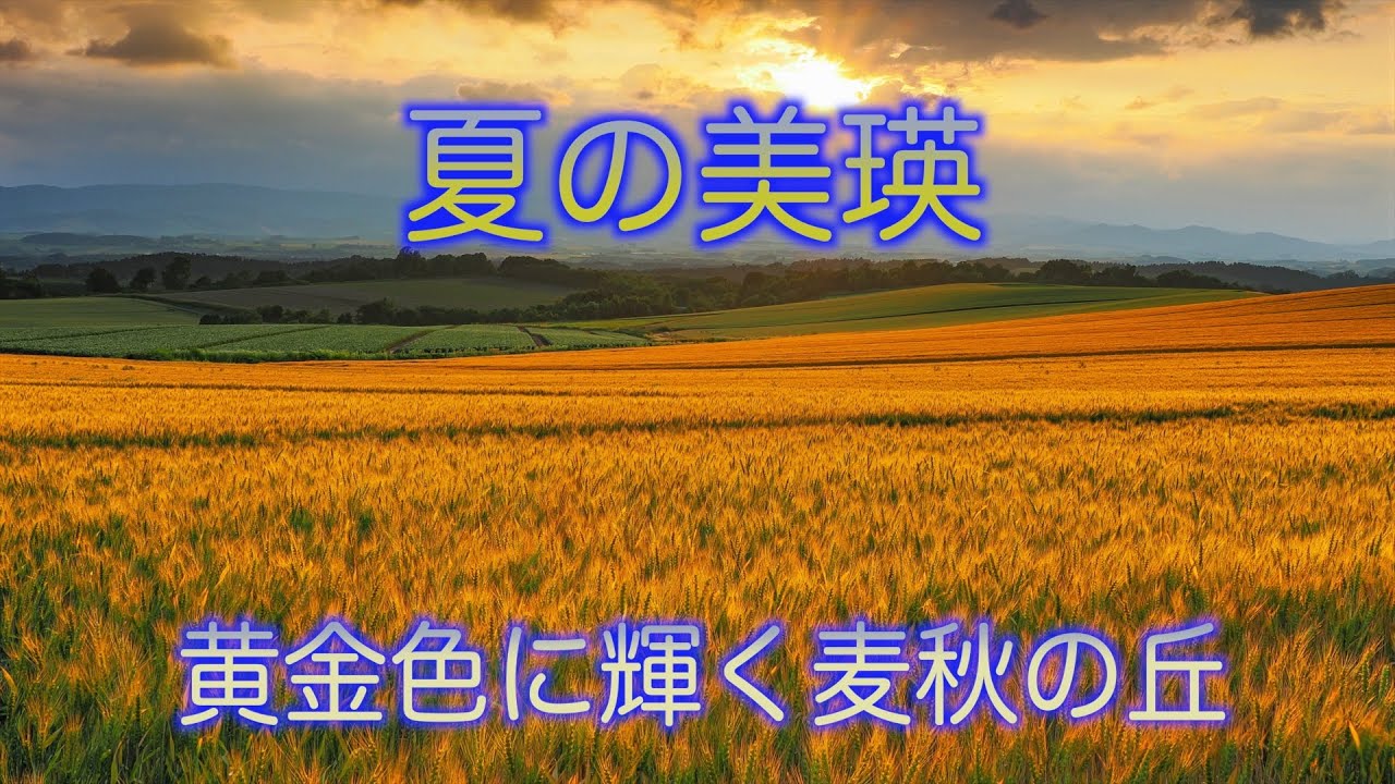 美瑛の丘をめぐる旅～2025夏編～前編