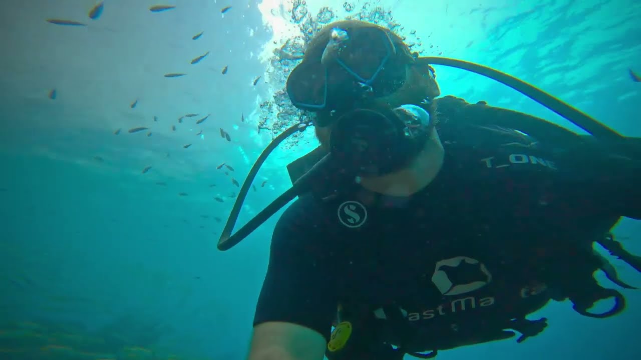 Phi Phi Islands Diving 2025 | GoPro 11 Footage (4K)