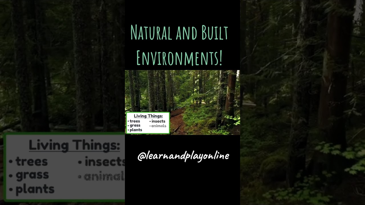 Natural and Built Environments for Kids