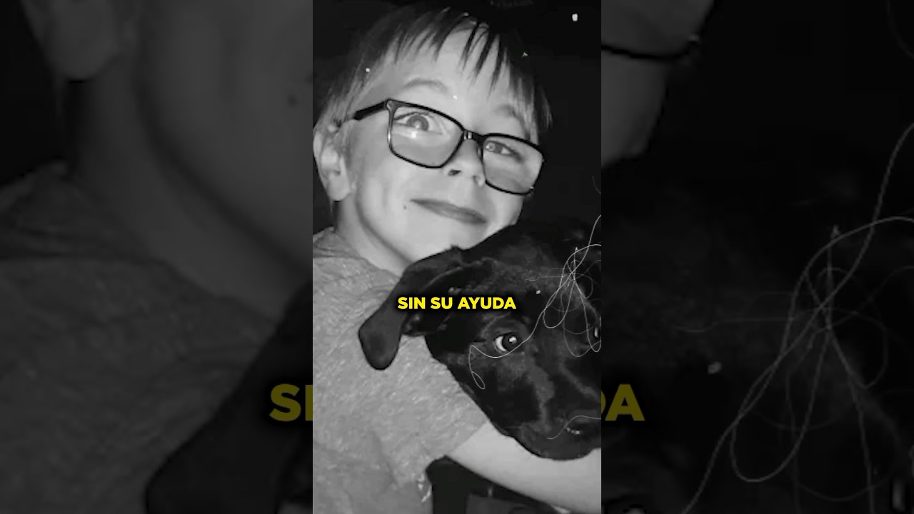Vendi&oacute; sus cartas de Pokemon para SALVAR a su perrito ❤️ #sabiasque #curiosidades